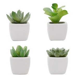 Mini Artificial succulents plant bonsai artificial flower creative ornamental plant with  square pots