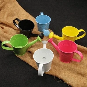 Mini Portable Metal Material Watering Can For Flowers