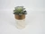 Import Modern office product nature wooden flower vase from China