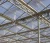 Import multi-span plastic film agriculatral greenhouse with ventilation from China