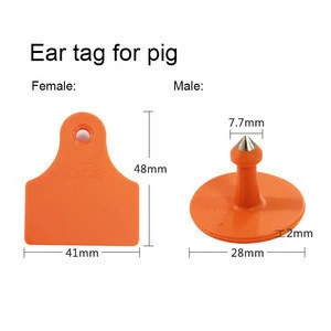 Multiple colors to choose from laser with words customizable pig ear tag for  animal ear tags
