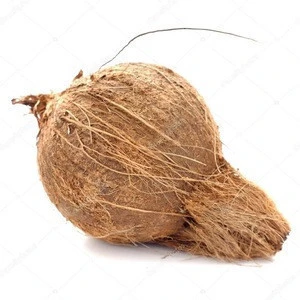 Natural Fully Husked Coconut Tender Green Coconut Most Organic Supplier from Bangladesh