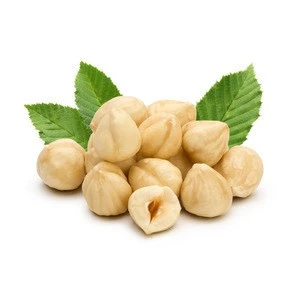 Natural taste/Organic/blanched Hazelnuts in shell and kernels