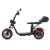 Import Netherlands warehouse two wheel electric motorcycle for adults citycoco from China
