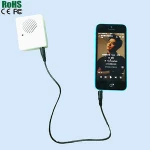 New arrival digital voice recorder module plush toy voice box with usb cable