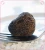 Import New cap Wild Fresh Perigord truffle from China