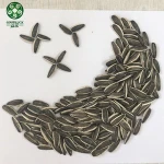 New  Crop  Bulk Striped Sunflower Seeds, Inner Mongolia Origin, Type: 601, 363,361