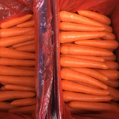 New Crop Fresh Carrot Clean Washed Carrot Low Prices