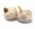 Import New Crop High Quality Fresh Normal White Garlic Purple Garlic Red Garlic from USA