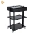 Import New style Hair Salon Trolley Cart Facial Hand Trolley from China
