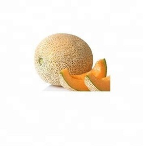 Orange Fresh Muskmelon Fresh Melon for sale