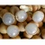 Import Organic Canned Fruits Wholesale Factory Canned Longan from China
