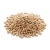 Import ORGANIC OAT, BARLEY, RYE, WHEAT GRASS GRAIN SEEDS -JUICING SPROUTING CAT GRASS from USA