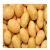 Import Organic Potato At Best Price from India