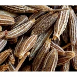 Organic Spice Grain Cumin Jeera Herbs