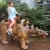 Import Outdoor entertainment animatronic dinosaur ride for kids from China