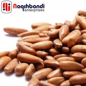 Pakistani Chingoza / pine nut From (Naqshbandi Enterprises) Pakistan