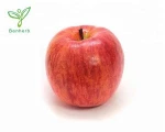 Palm extract custard  pyrus malus (apple) fruit extract  powder