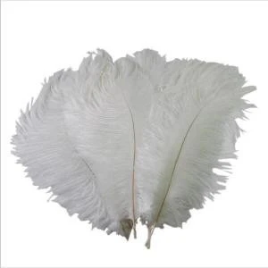 PARTY DECORATION OSTRICH FEATHERS FOR WEDDING CENTERPIECE feathers ostrich wedding decoration feather