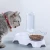 Import Pet Cat Dog Feeder Bowl with Stand for Cats Dogs Food Feeder from China