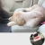 Import Pet Dog Cat Car Seat Belt Adjustable Harness Seatbelt Lead Leashes Rope for Small Medium Dogs Travel Clip Pet Supplies 10 Color from China
