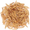 Pet Food Treats For Bird Fried Mealworms