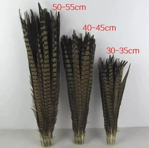 Pheasant tail 20-80 cm in all sizes in stock headband decorative performance props