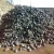 Import Pig Iron sellers / from Philippines