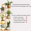 Plant rack multi-pot holder rack indoor and outdoor flower pot display cabinet Bamboo plant stand