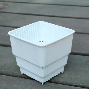 Plastic Square Nursery and Seedling Pot Container Seed Starting Transplant Planter with Drain Hole for Succulents