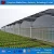 Import Popular products attractive fashion pe film vegetable greenhouse from China