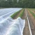 PP Nonwoven Agriculture Film Crop Covers Weed Control Fabrics