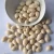 Import Premium Dried and Fresh Ginkgo Nuts,Best Quality raw ginkgo nuts from Germany