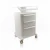 Import Professional beauty storage carts spa beauty device trolley from China