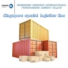 Professional logistics shipping service sea freight shipping to usa worldwide