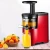 Import Professional Slow Juicer Wholesale Home Juicer Blender Fashionable Appearance Juicer Extractor Machine from China
