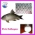 Import Pure natural high quality peptide powder from fish Collagen from China