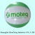 Import pvc inflatable beach ball with custom print from China