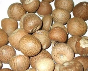 Quality Dried Betel nuts for sale