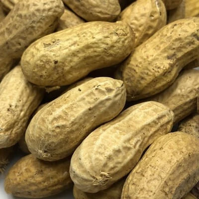 Quality Organic Peanuts Sun Dried Peanuts