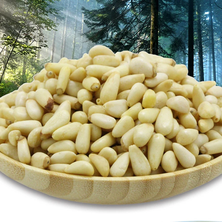 Red Afghan Pine Nut Kernels Best Pine Nuts