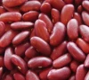 Red kidney beans for sale