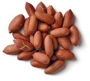 red skin peanuts 50/60 40/50/blanched peanuts/peanut in shell