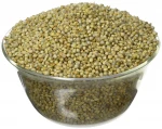 red /white /yellow foxtail millet for bird seed/Hybrid Pearl Millet Seed