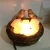 Import Resin bird nest shaped rock natural crystal salt lamps from China