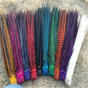 Ringneck Pheasant Tail Feathers , bleached ,Dyed Ringneck pheasant tail feathers