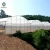 Import Sainpoly multi-span plastic shed film greenhouse structure with irrigation&hydroponics eqiupment from China