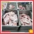 Import Sell Frozen Rabbit Leg Meat Export from China