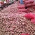 Import sell lots of quality small red onions at low prices,2-3cm from China