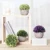Set of 4 Package Artificial Plastic Mini Plants Unique Fake Fresh Green Grass Flower in Gray Pot For Living Home Decor